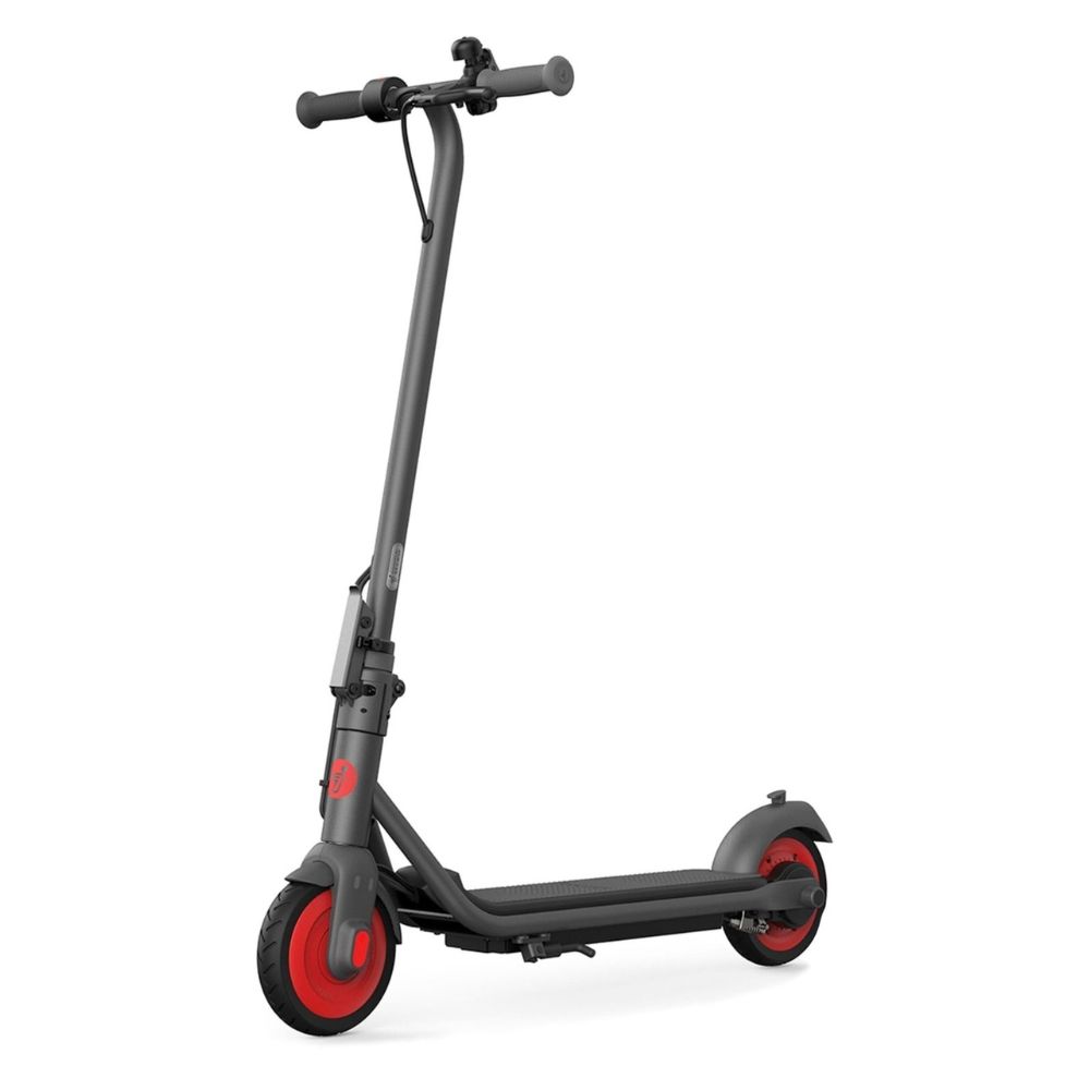 Купить электросамокат Segway Ninebot ZING C20 Электросамокат Segway Ninebot ZING C20