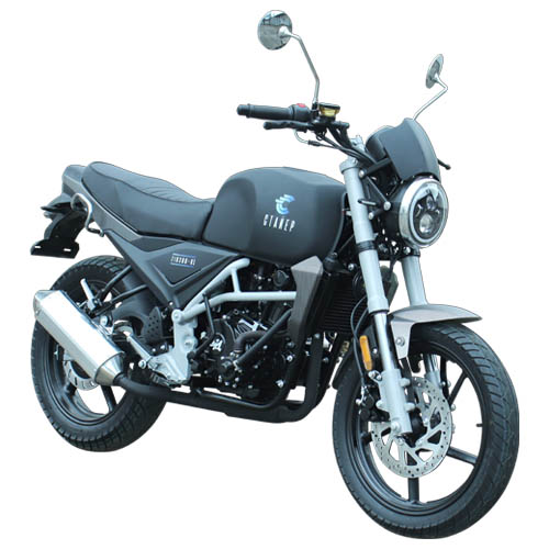 Мотоцикл ZID 300-01 Стайер