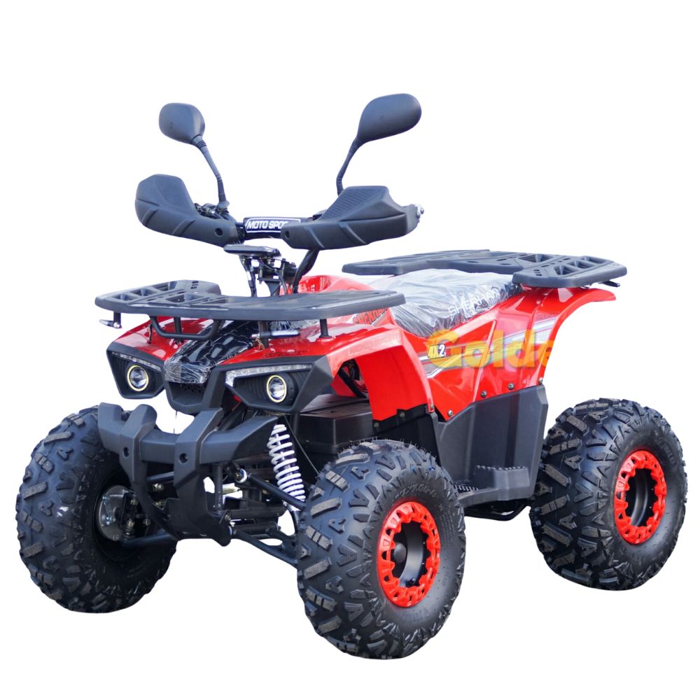 Купить квадроцикл электрический Sherhan 1000W Champion