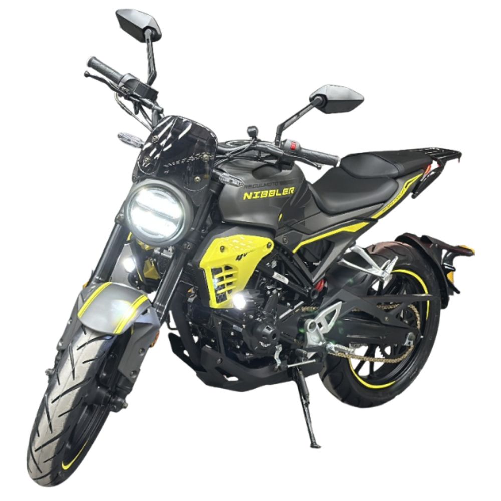 Купить мотоцикл Regulmoto Nibbler 300