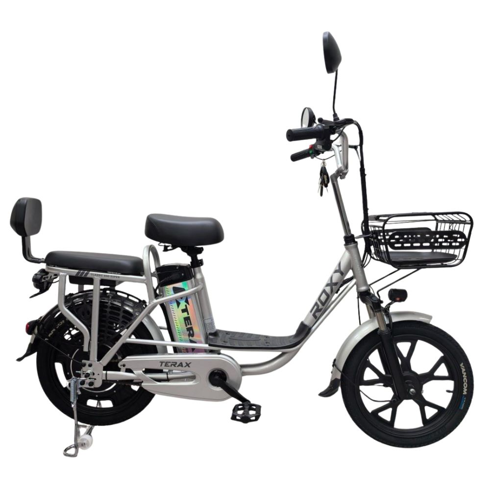 Купить электровелосипед Terax ROXY NS010