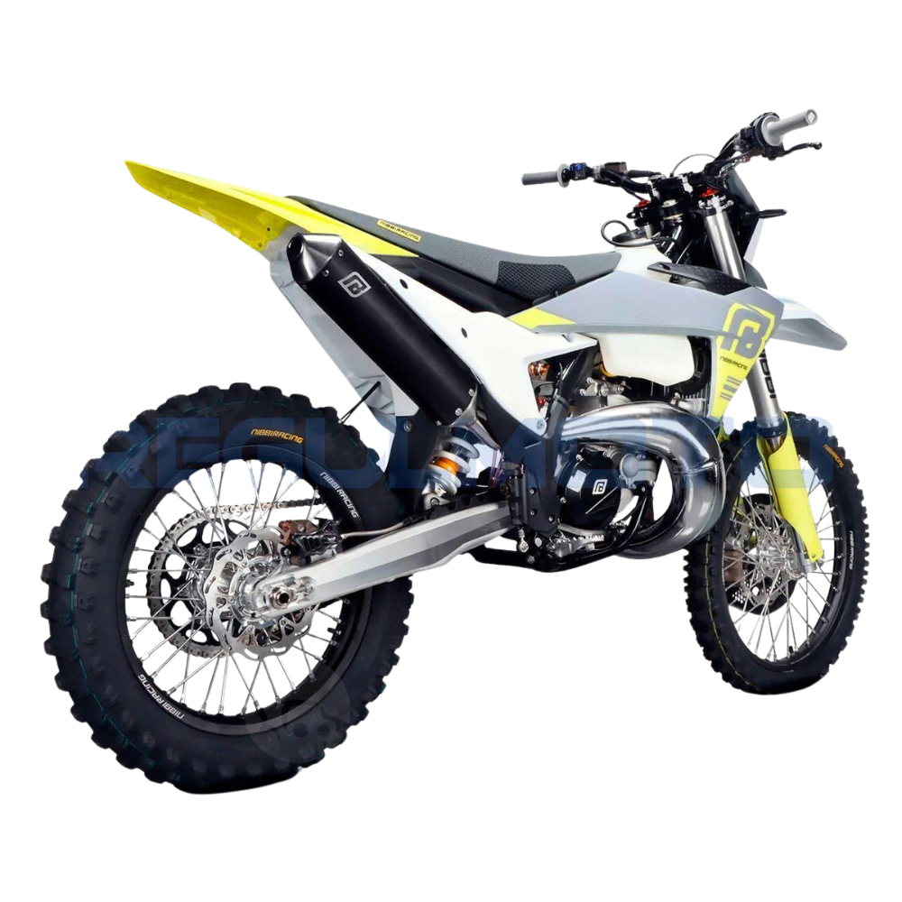 Мотоцикл Regulmoto NIBBI TE N300-SR 2T