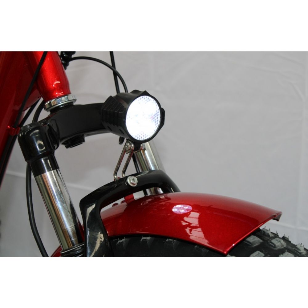 Электровелосипед GreenCamel Трайк-F20