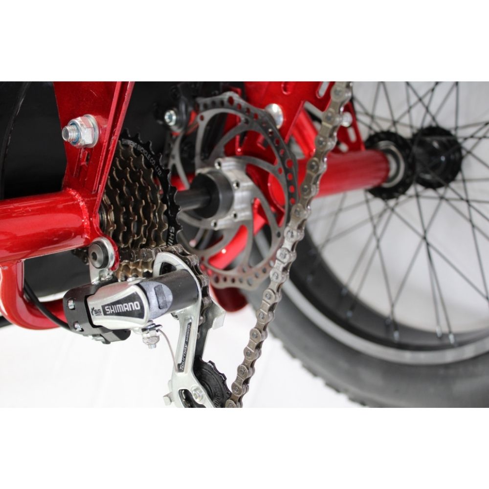 Электровелосипед GreenCamel Трайк-F20