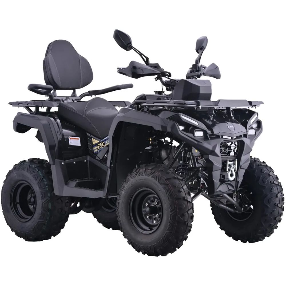 Квадроцикл AVM Adventure 250 NEW