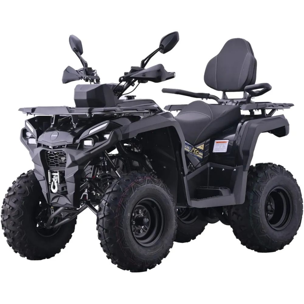 Квадроцикл AVM Adventure 250 NEW