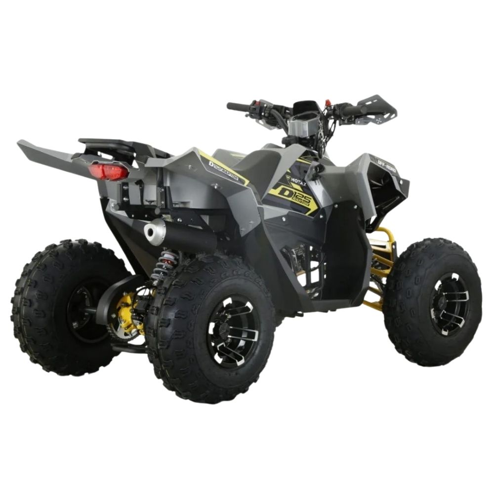 Квадроцикл бензиновый MOTAX GRIZLIK D125 RAPTOR LUX (3+1)