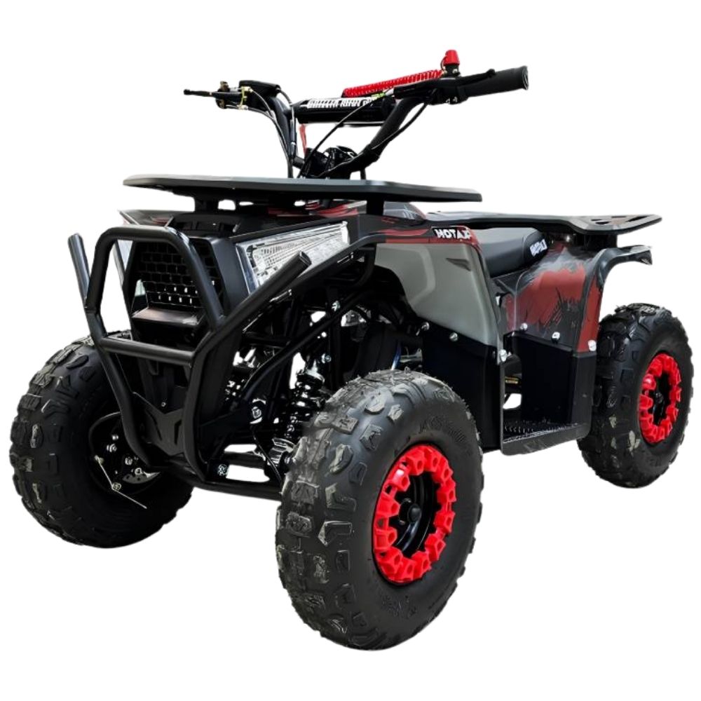 Купить детский квадроцикл Motax Grizlik Mini Ps Bw