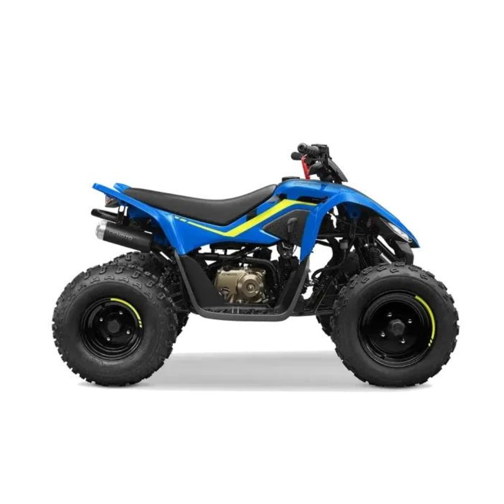 Квадроцикл CF Moto C-Force 110
