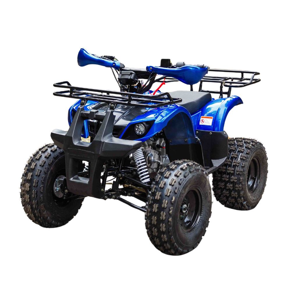 Купить Квадроцикл Motoland Fox 125cc (мотокомплект)