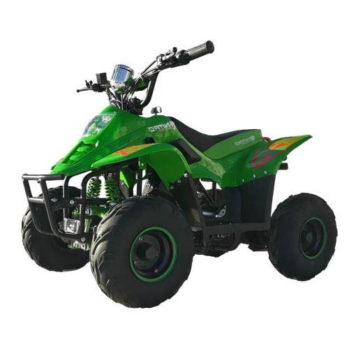 Купить квадроцикл QMC ECO Bigfoot RG6 800W