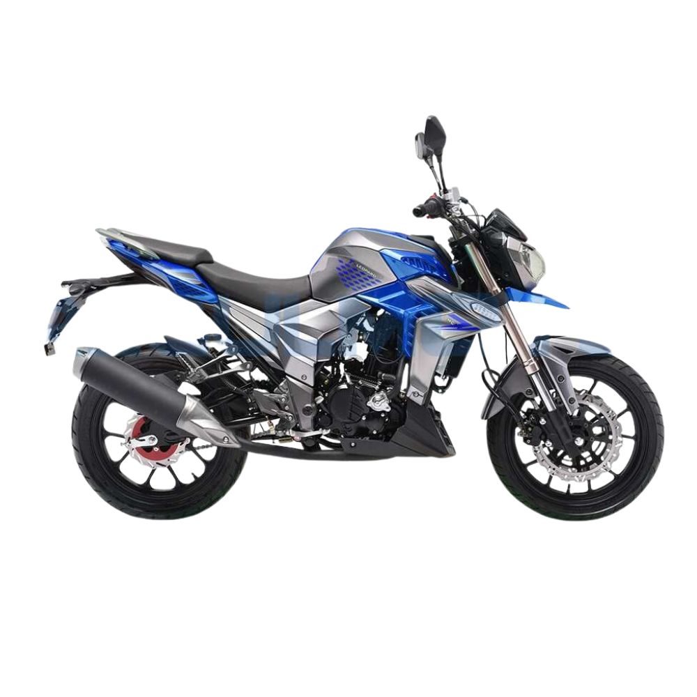 Мотоцикл Regulmoto T-Leopard 300