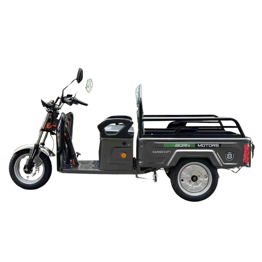 E-Cargo Tricycle Eborn Cargo Cat 1