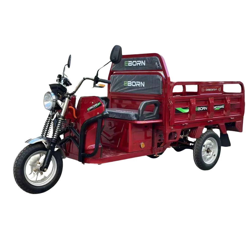 Buy E-Cargo Tricycle Eborn CARGOCAT 2-S