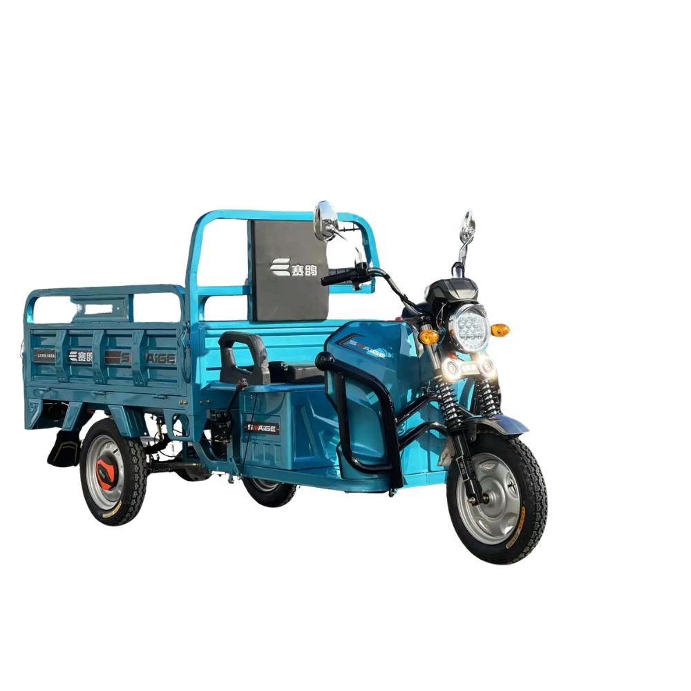 E-Cargo Tricycle Eborn CARGOCAT 2-S