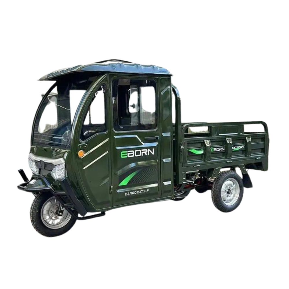 Buy E-Cargo Tricycle Eborn CARGOCAT 3-S