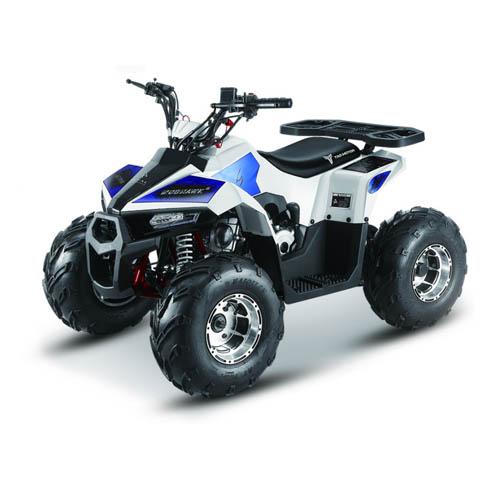 Купить квадроцикл TaoTao ATV MudHawk 110cc