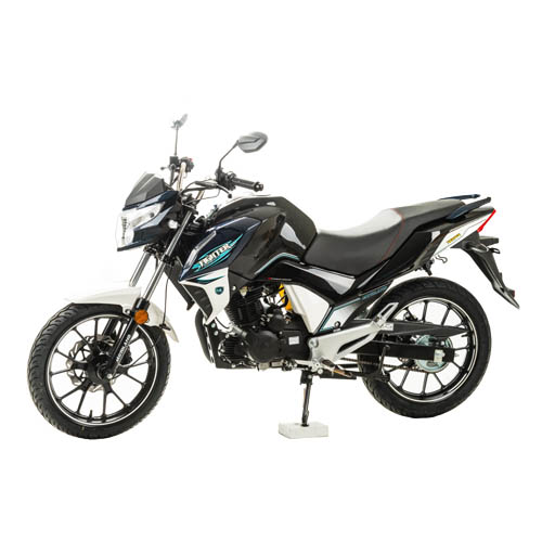 Купить мотоцикл Motoland Fighter 250 New
