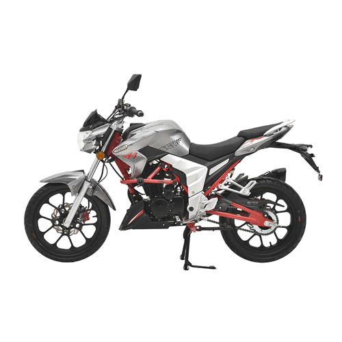 Купить мотоцикл Regulmoto Raptor 250 New
