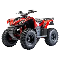 Electric ATV