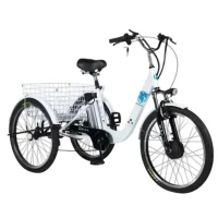 Электровелосипед трехколесный Tsunami Volga