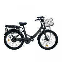 Электровелосипед HIPER ENGINE FEST F5