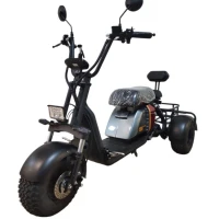 Электротрицикл SMD 701 minitrike