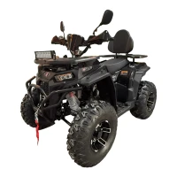 Квадроцикл SB Patrul 200 ЭПТС