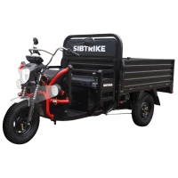Электротрицикл WHITE SIBERIA SIBTRIKE PRO CARGO 2025