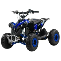 Электрический квадроцикл QMC Avenger 48V 1200W