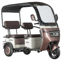 Электротрицикл Rutrike Gelbert Sarin 48V/60V 1000Вт