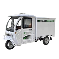 e-cargo-tricycle-eborn-cargocat-3-b