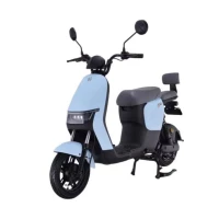 citycat-e-scooter-2-la
