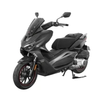 regulmoto-skuter-element-300cc