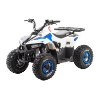 motoland-eagle-110cc
