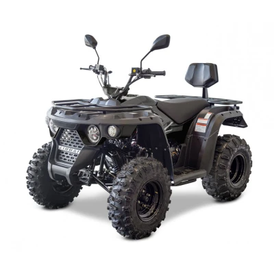 Quad bike LINHAI M210 EFi 2x4