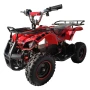 Electric quad QMC ECO Torino 800W LED