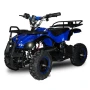 Electric quad QMC ECO Torino 800W LED