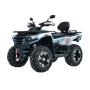 Квадроцикл MotoLand MAX 300 X EFI (инжектор) с ПСМ