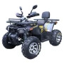 ATV offroad TaoMotor Shark 200cc