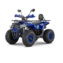 Квадроцикл THUNDER WELS Trail 125 PRO (мотокомплект)
