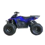 Квадроцикл GreenCamel Атакама T630 (72V 1500W R8)