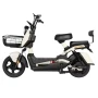 Электроскутер Shtenli Model 21 Performance (аккумулятор 4шт 20Ач12В)