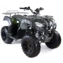 Квадроцикл MOTAX ATV Grizlik T200