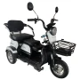 Электрический трицикл SHTENLI Model 31 li-ion 20Ah48V
