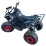 Электроквадроцикл Storm Evo 1000w