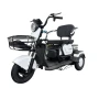 Электрический трицикл SHTENLI Model 31 li-ion 20Ah60V