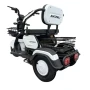 Электрический трицикл SHTENLI Model 31 li-ion 20Ah60V