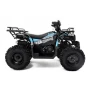 Квадроцикл SHARMAX Activator 250 (мотокомплект)