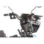 Электротрицикл Rutrike Gelbert Vega 48V/60V 600Вт